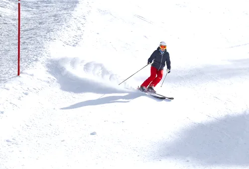 Alpinskidor